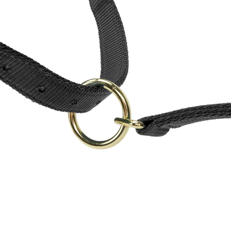Arma Topaz Nylon Headcollar in Black-7