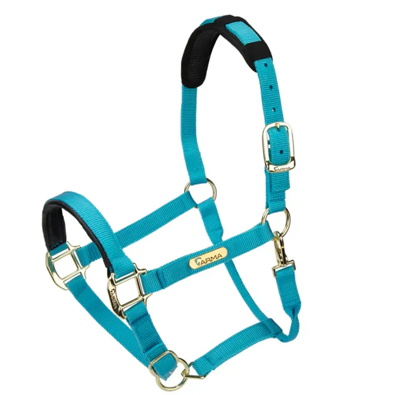 Arma Topaz Nylon Headcollar in Blue