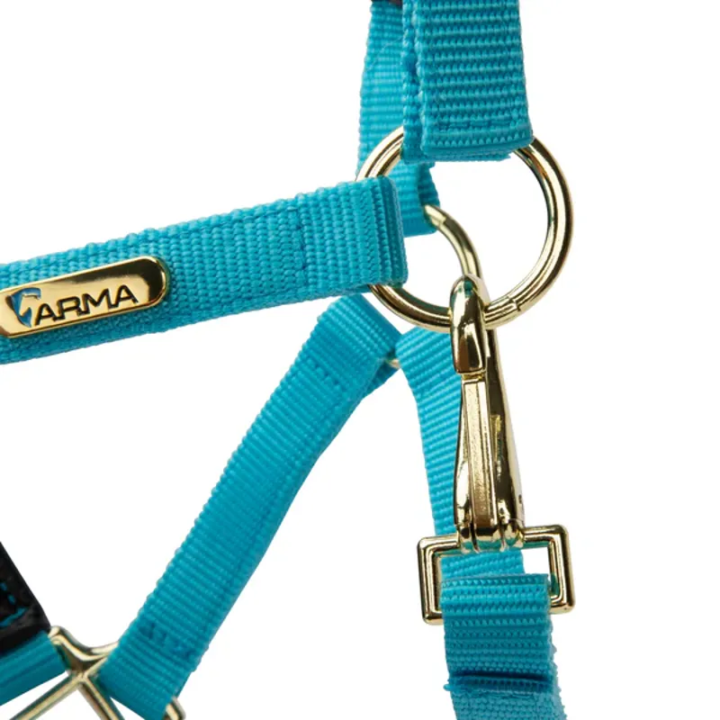 Arma Topaz Nylon Headcollar in Blue-1