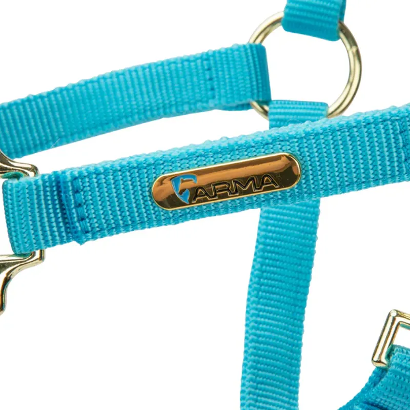 Arma Topaz Nylon Headcollar in Blue-2