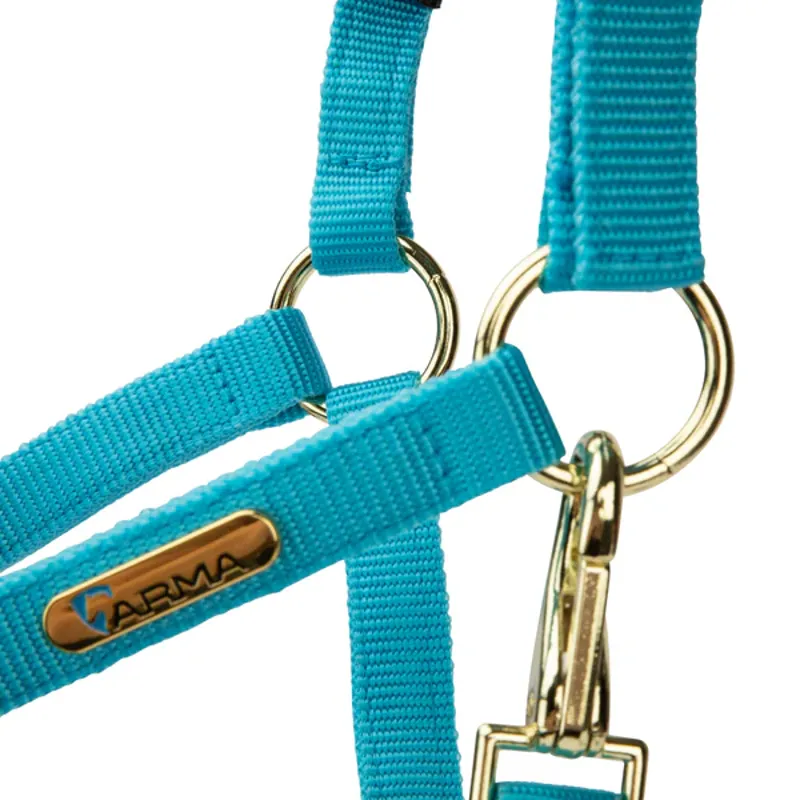 Arma Topaz Nylon Headcollar in Blue-3