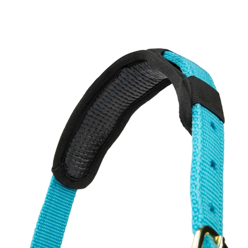 Arma Topaz Nylon Headcollar in Blue-4