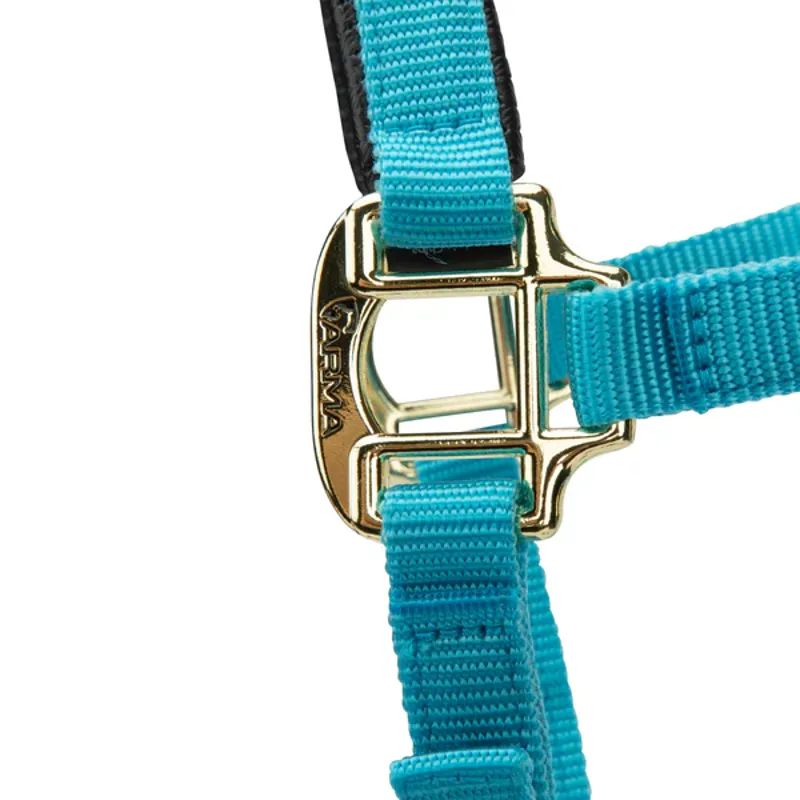 Arma Topaz Nylon Headcollar in Blue-5
