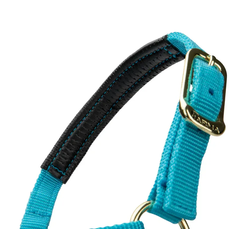 Arma Topaz Nylon Headcollar in Blue-6