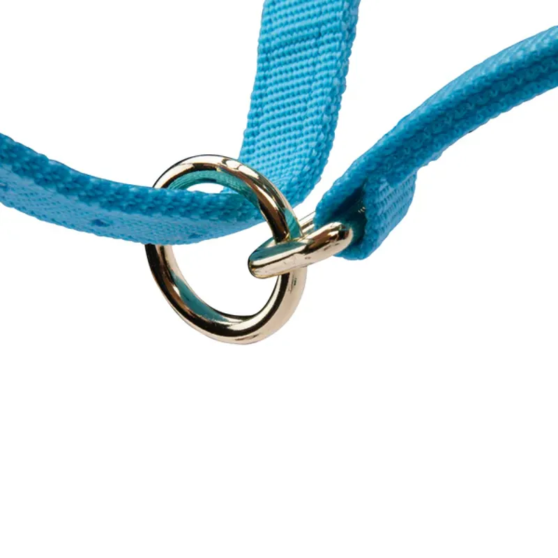 Arma Topaz Nylon Headcollar in Blue-7