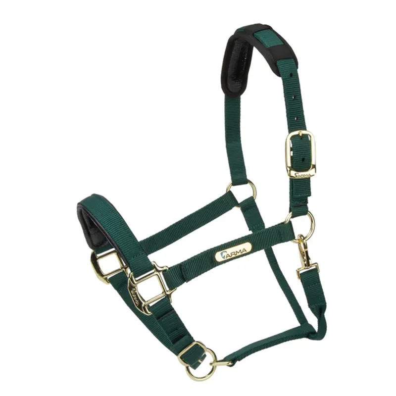 Arma Topaz Nylon Headcollar in Dark Green