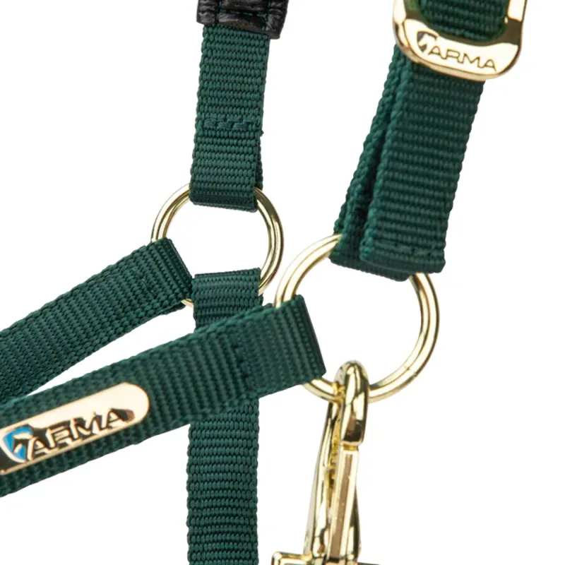 Arma Topaz Nylon Headcollar in Dark Green-1
