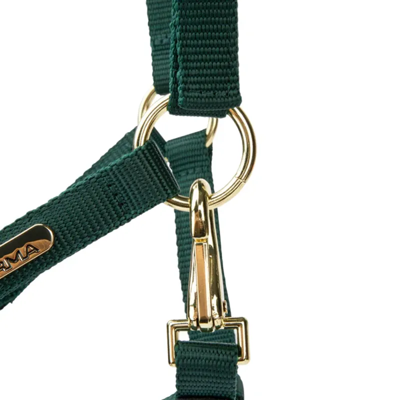 Arma Topaz Nylon Headcollar in Dark Green-3