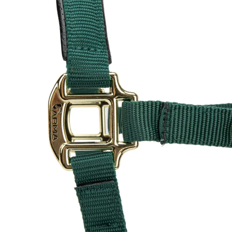 Arma Topaz Nylon Headcollar in Dark Green-5