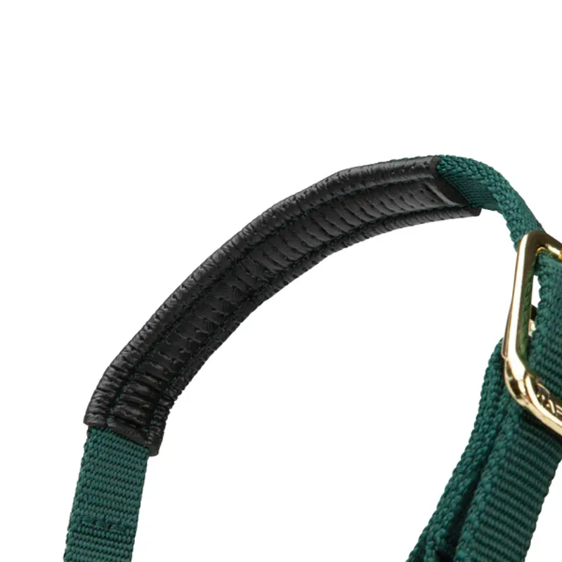 Arma Topaz Nylon Headcollar in Dark Green-6