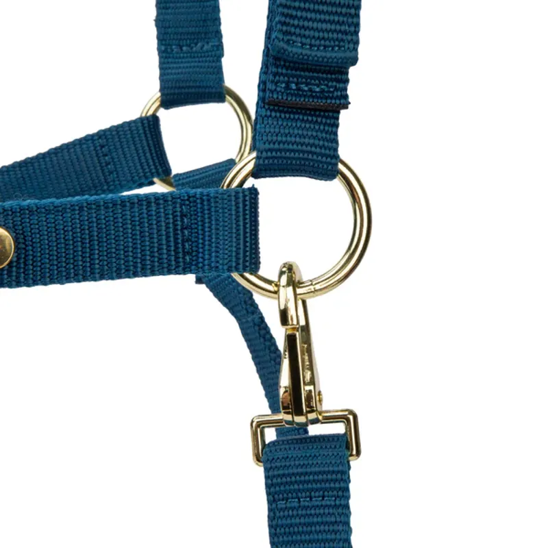 Arma Topaz Nylon Headcollar in Navy-3