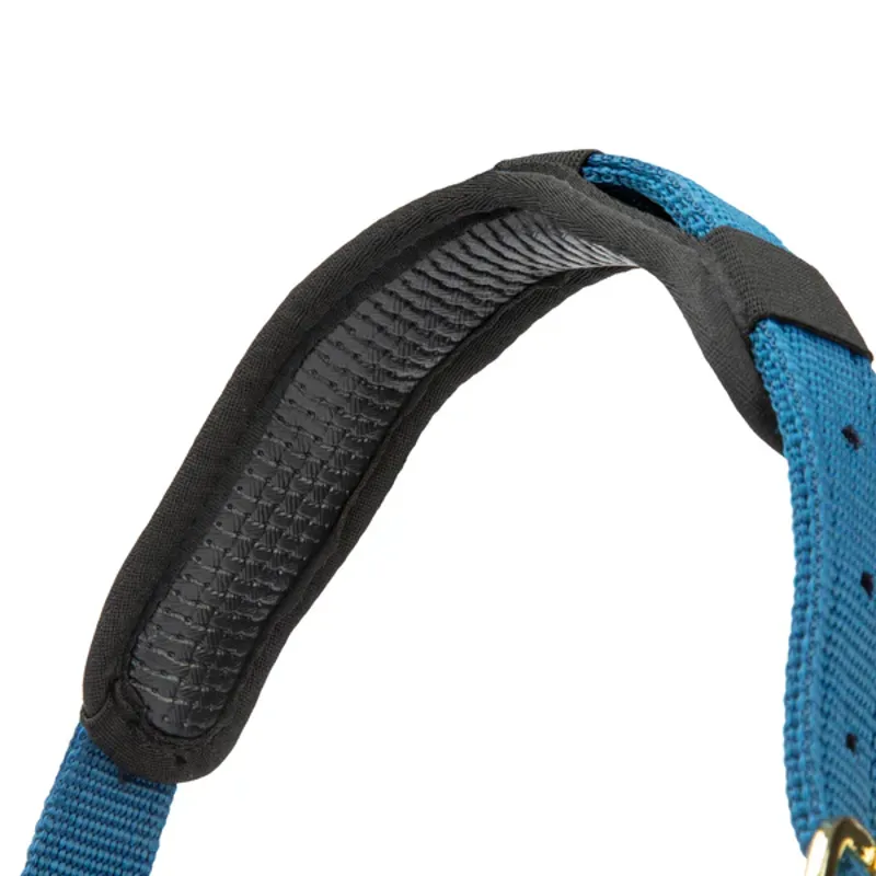 Arma Topaz Nylon Headcollar in Navy-4