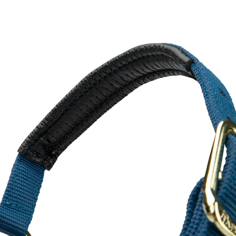 Arma Topaz Nylon Headcollar in Navy-6