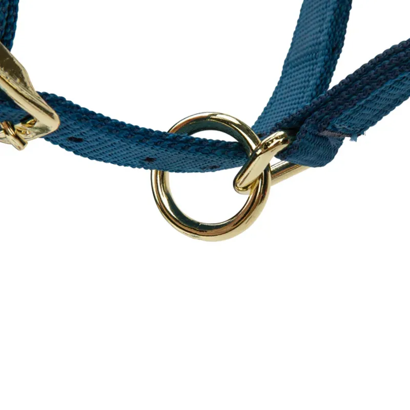 Arma Topaz Nylon Headcollar in Navy-7