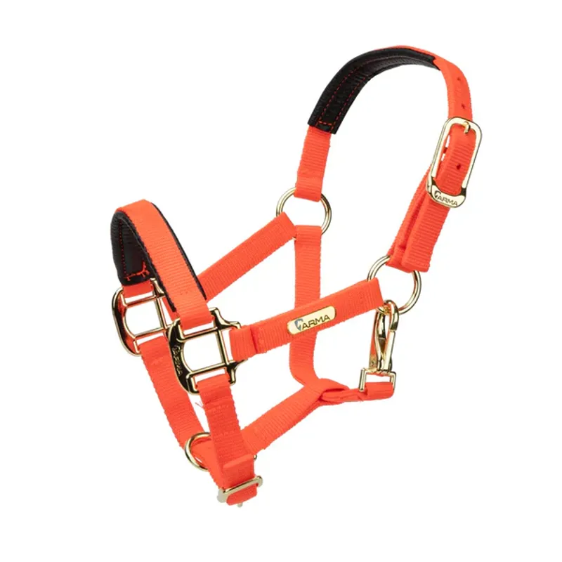 Arma Topaz Nylon Headcollar in Orange