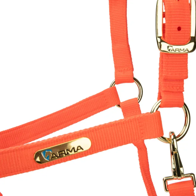 Arma Topaz Nylon Headcollar in Orange-1