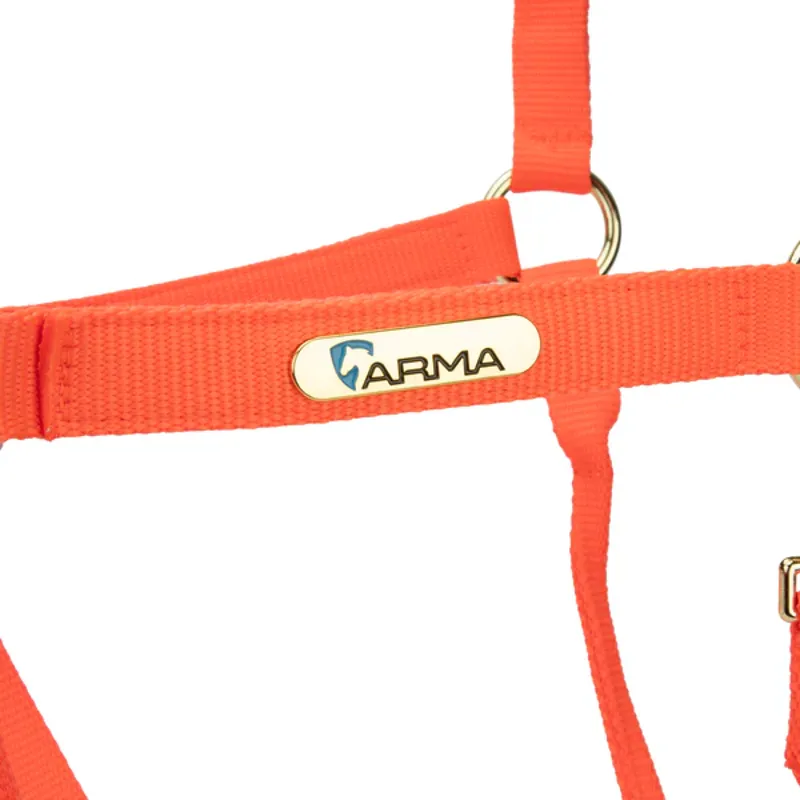 Arma Topaz Nylon Headcollar in Orange-2