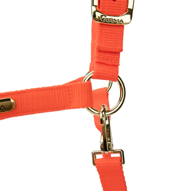 Arma Topaz Nylon Headcollar in Orange-3