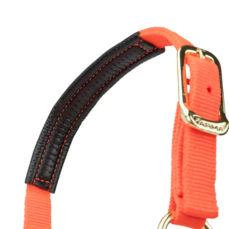 Arma Topaz Nylon Headcollar in Orange-4