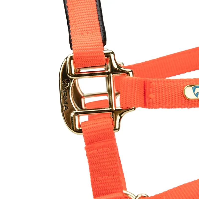 Arma Topaz Nylon Headcollar in Orange-5