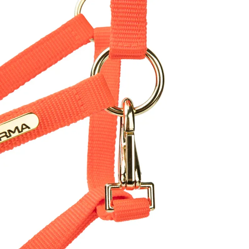Arma Topaz Nylon Headcollar in Orange-6