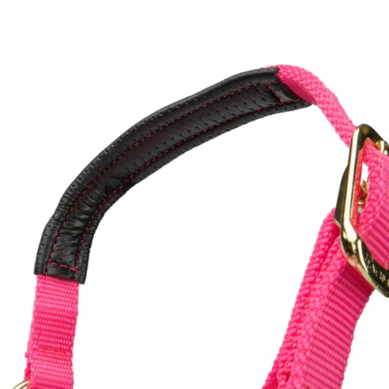 Arma Topaz Nylon Headcollar in Pink-4