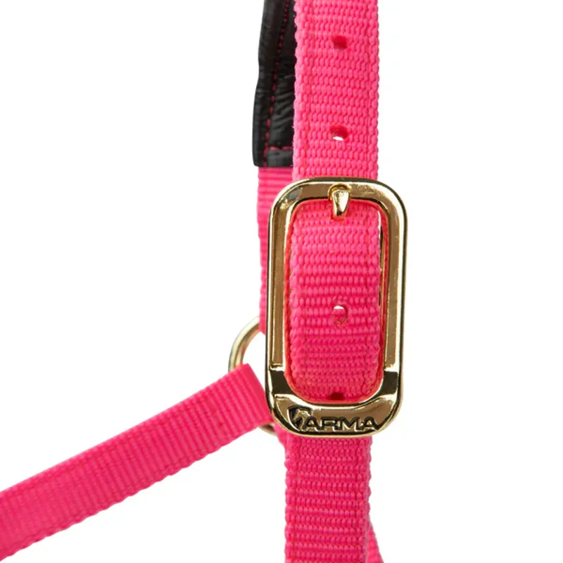 Arma Topaz Nylon Headcollar in Pink-6