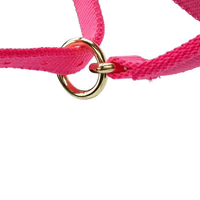 Arma Topaz Nylon Headcollar in Pink-7