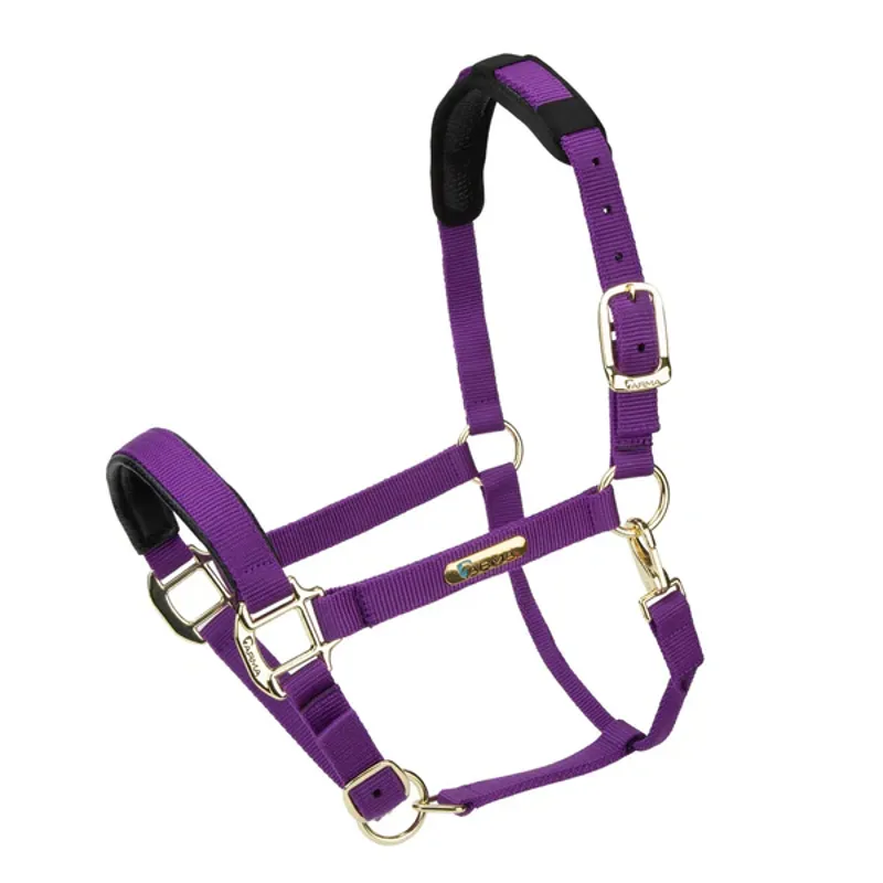Arma Topaz Nylon Headcollar in Purple