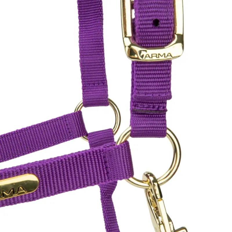 Arma Topaz Nylon Headcollar in Purple-1