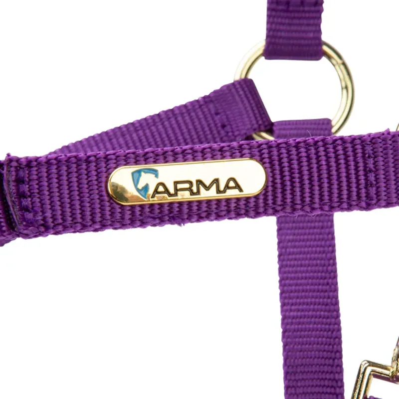 Arma Topaz Nylon Headcollar in Purple-2