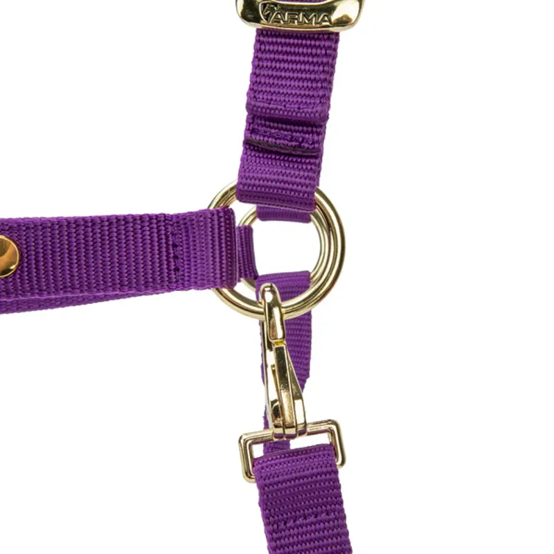 Arma Topaz Nylon Headcollar in Purple-3