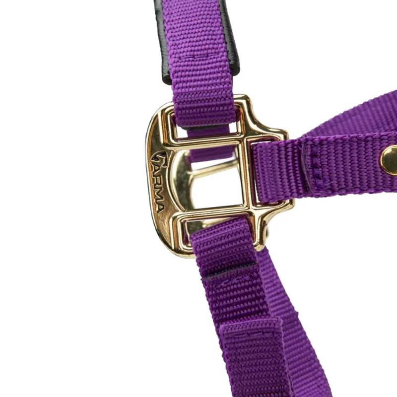 Arma Topaz Nylon Headcollar in Purple-5