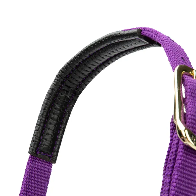 Arma Topaz Nylon Headcollar in Purple-6