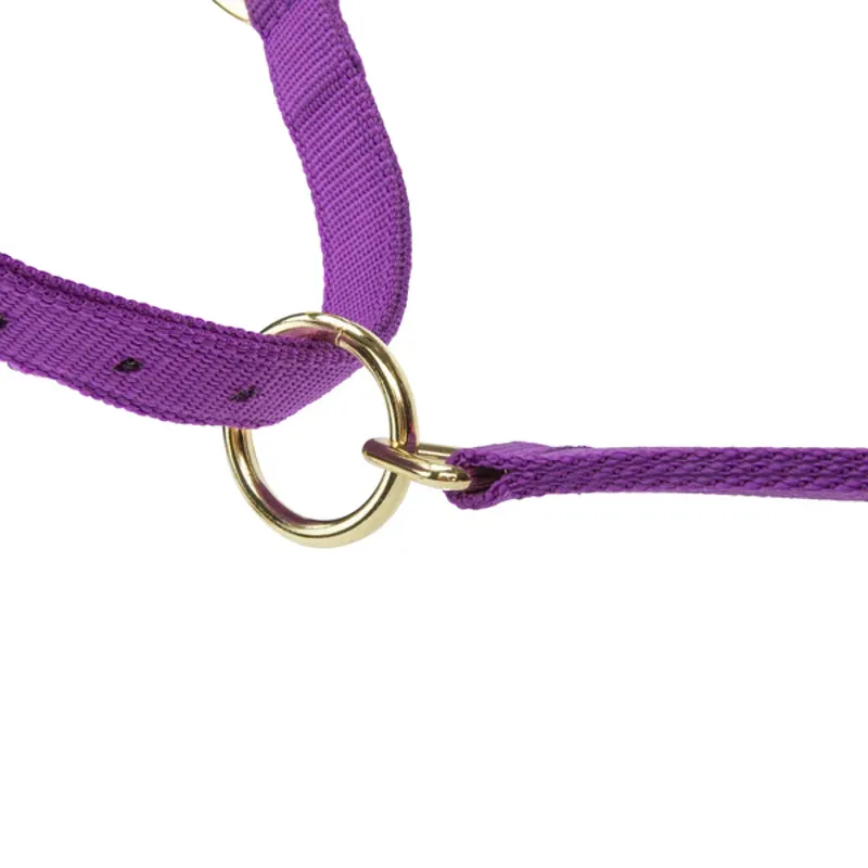 Arma Topaz Nylon Headcollar in Purple-7