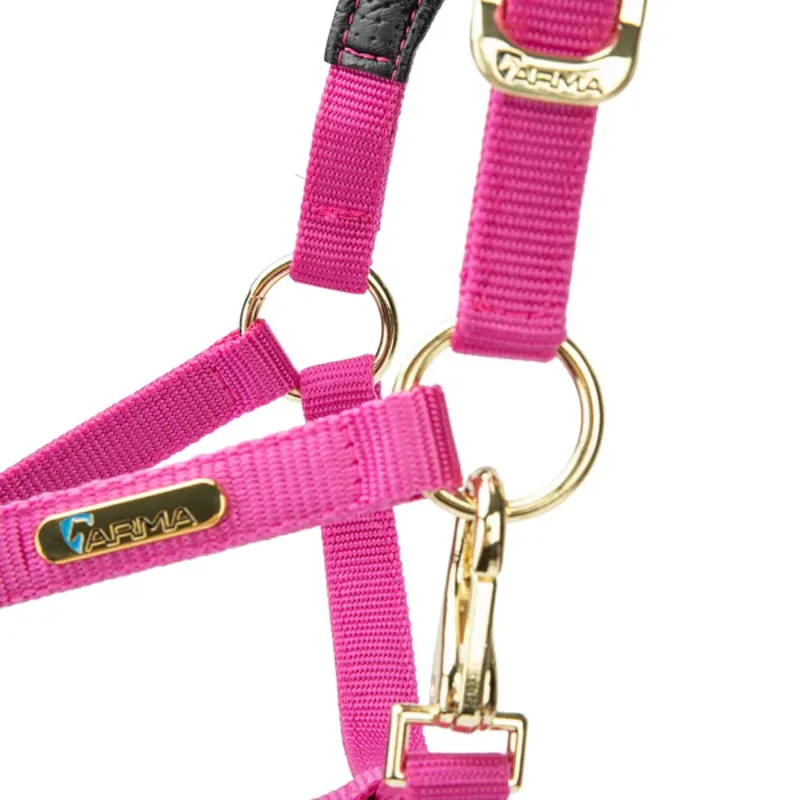 Arma Topaz Nylon Headcollar in Raspberry