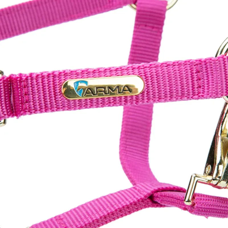 Arma Topaz Nylon Headcollar in Raspberry-1