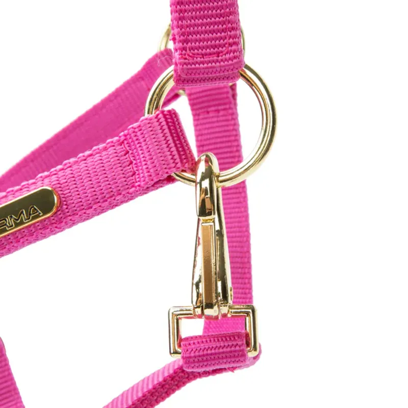 Arma Topaz Nylon Headcollar in Raspberry-2