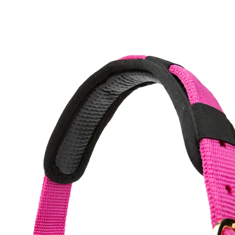 Arma Topaz Nylon Headcollar in Raspberry-3