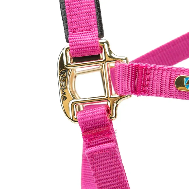 Arma Topaz Nylon Headcollar in Raspberry-4