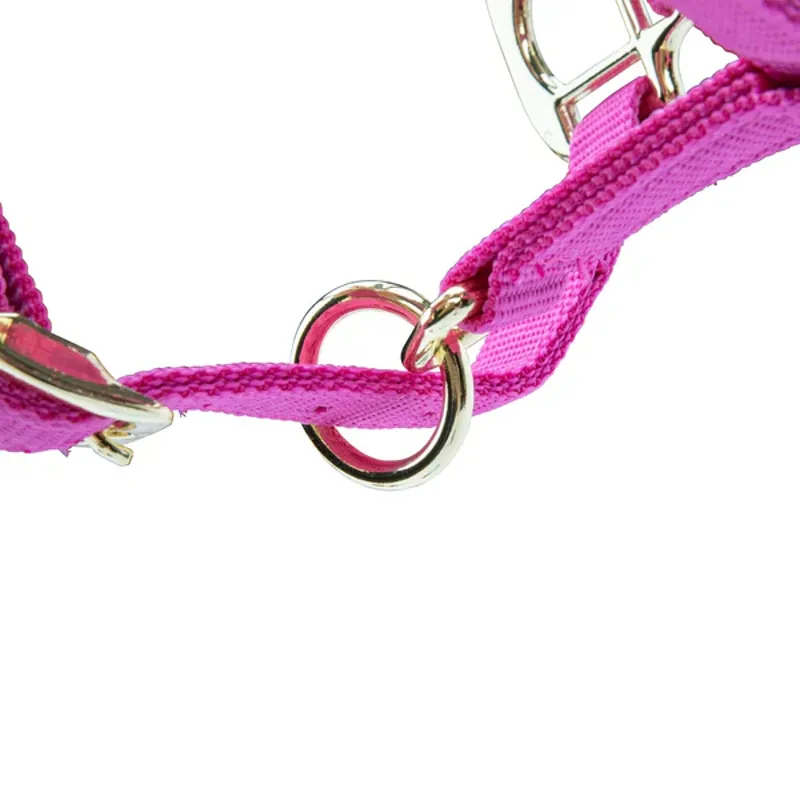 Arma Topaz Nylon Headcollar in Raspberry-6