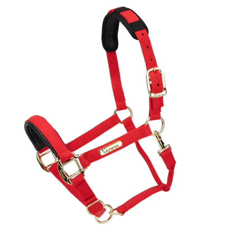 Arma Topaz Nylon Headcollar in Red