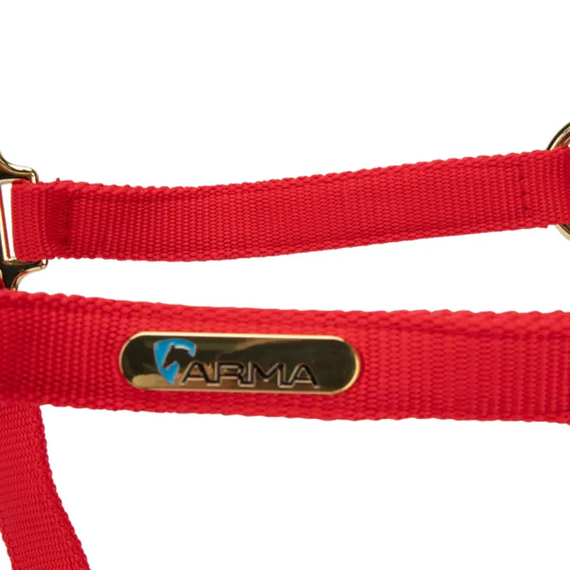 Arma Topaz Nylon Headcollar in Red-2