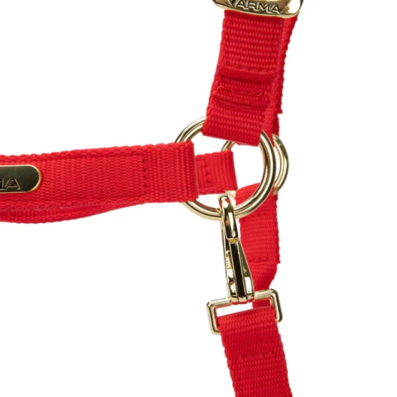 Arma Topaz Nylon Headcollar in Red-3