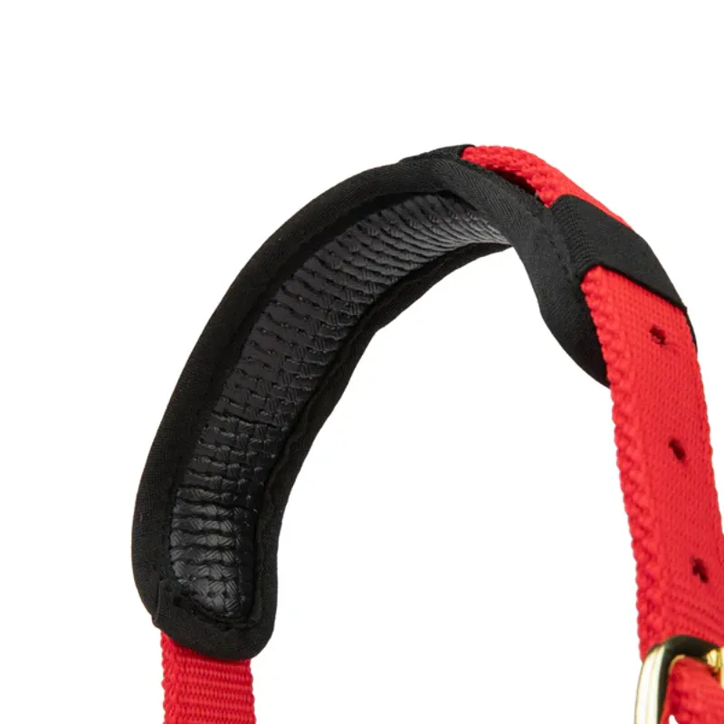 Arma Topaz Nylon Headcollar in Red-4