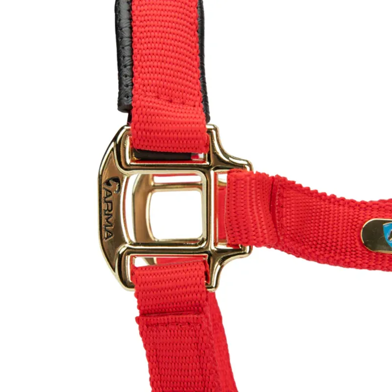 Arma Topaz Nylon Headcollar in Red-6