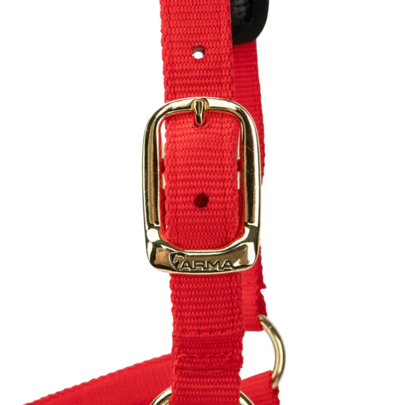Arma Topaz Nylon Headcollar in Red-7
