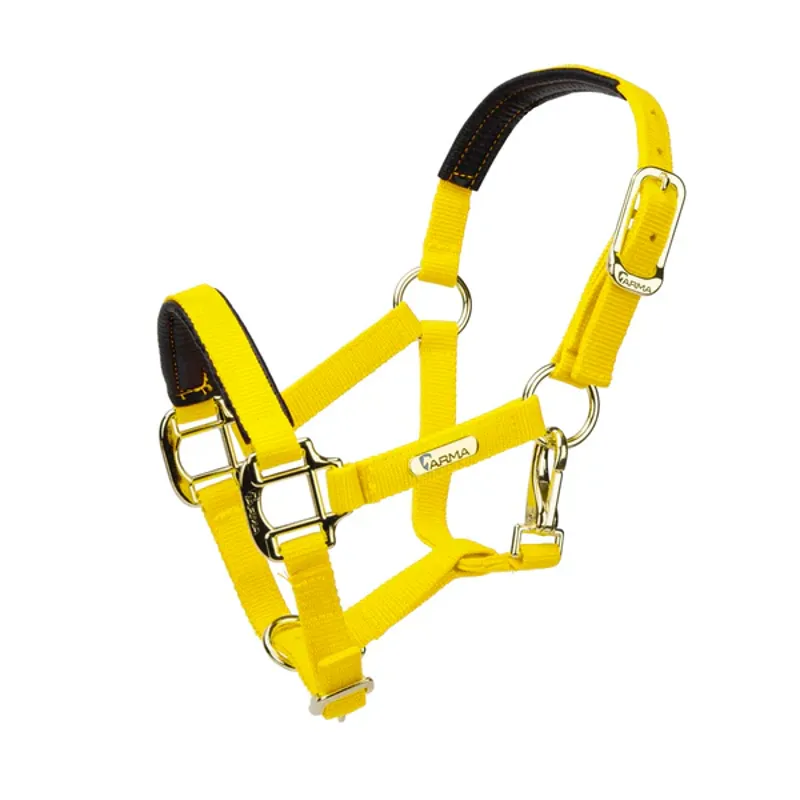 Arma Topaz Nylon Headcollar in Yellow