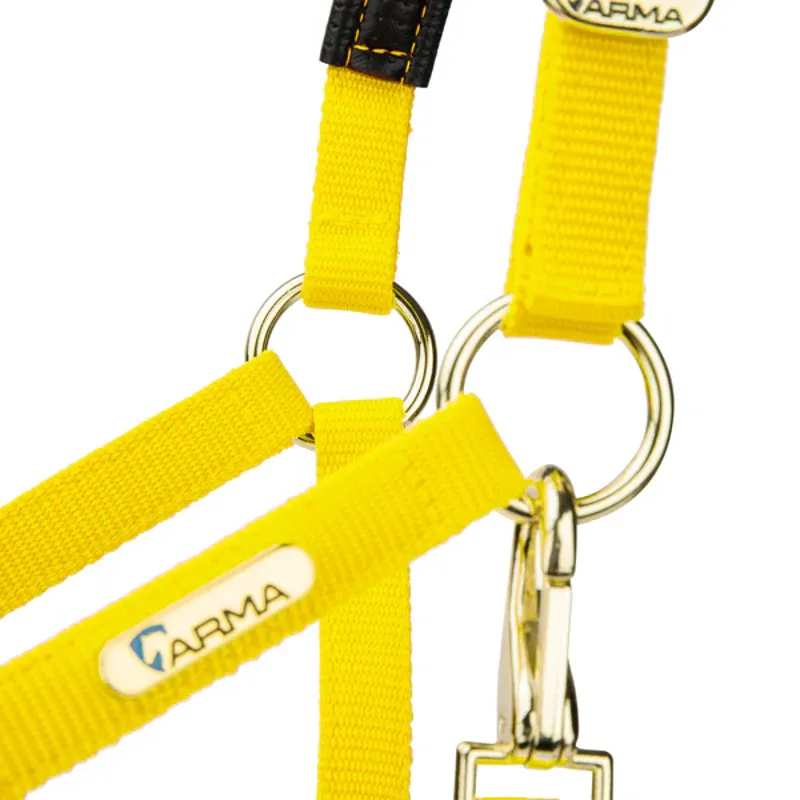 Arma Topaz Nylon Headcollar in Yellow-1