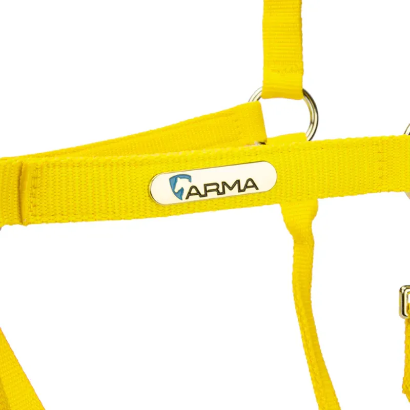 Arma Topaz Nylon Headcollar in Yellow-2